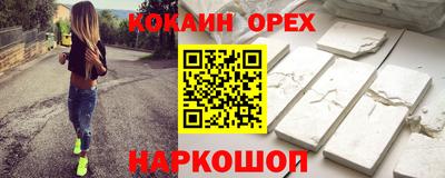 гашик Дубна