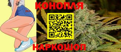 гашик Дубна