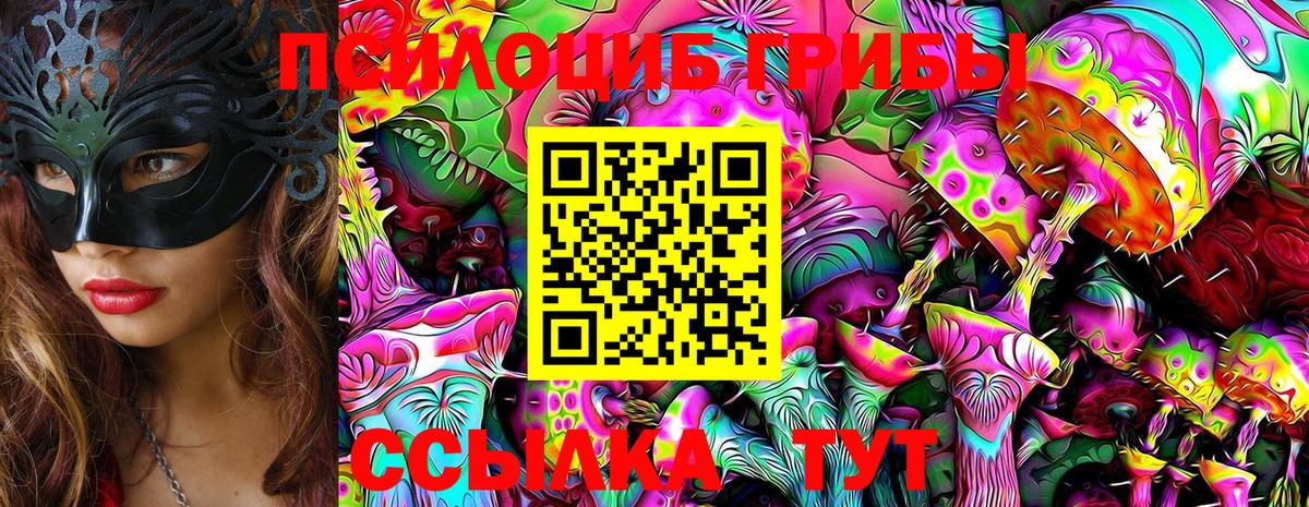 Псилоцибиновые грибы Cubensis Кулебаки