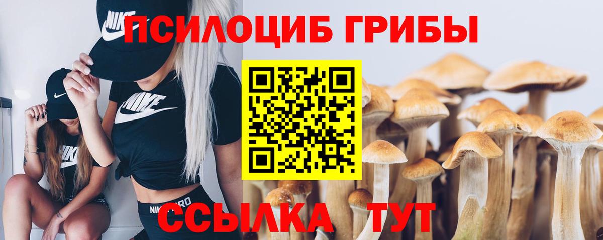 Кулебаки  Псилоцибиновые грибы Psilocybine cubensis  Галлюциногенные грибы Psilocybe  Вход с VPN 